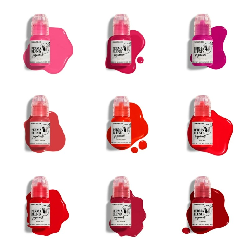 Perma Blend Pigmente Tattoo-Ti – Skincare Queen Bewertung und Preis